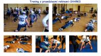 Warsaw Sharks